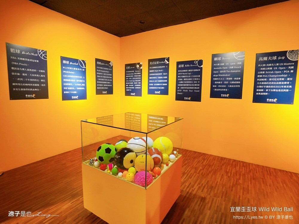優惠 真人彈珠檯 創意球類運動 宜蘭室內景點 親子景點 蘇澳景點 停留時間 wild ball