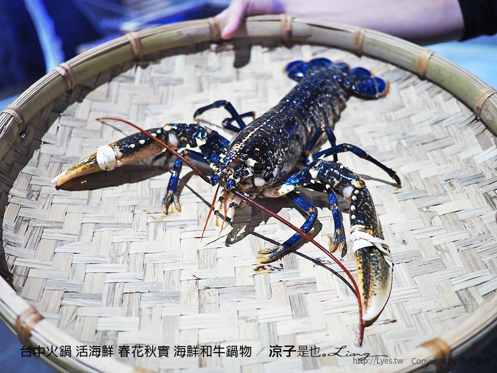 台中火鍋 活海鮮 春花秋實 海鮮和牛鍋物