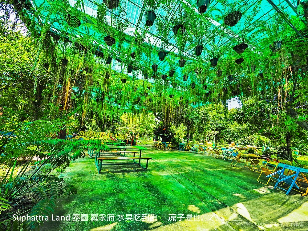 suphattra land 泰國 羅勇府 水果吃到飽
