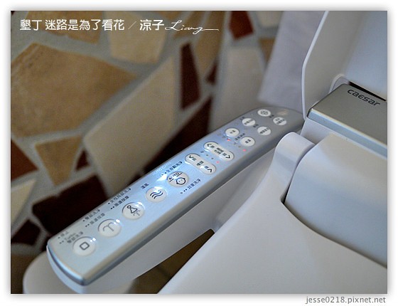 墾丁 迷路是為了看花 5
