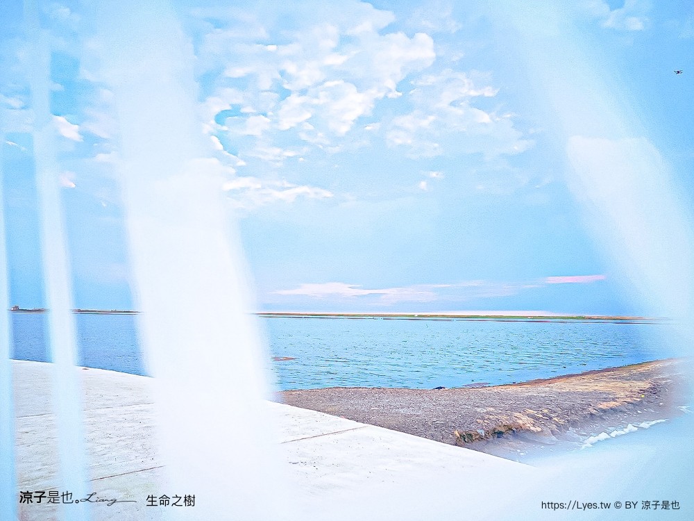 生命之樹 台南景點 鹽田裝置藝術 海上步道 青鯤鯓 扇形鹽田 台南 將軍景點 IG 拍照 打卡