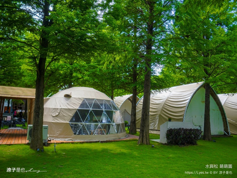 水與松萌萌園 門票 埔里 親子景點 動物園 埔里一日遊推薦 南投農場 羊駝 水豚君 南投景點