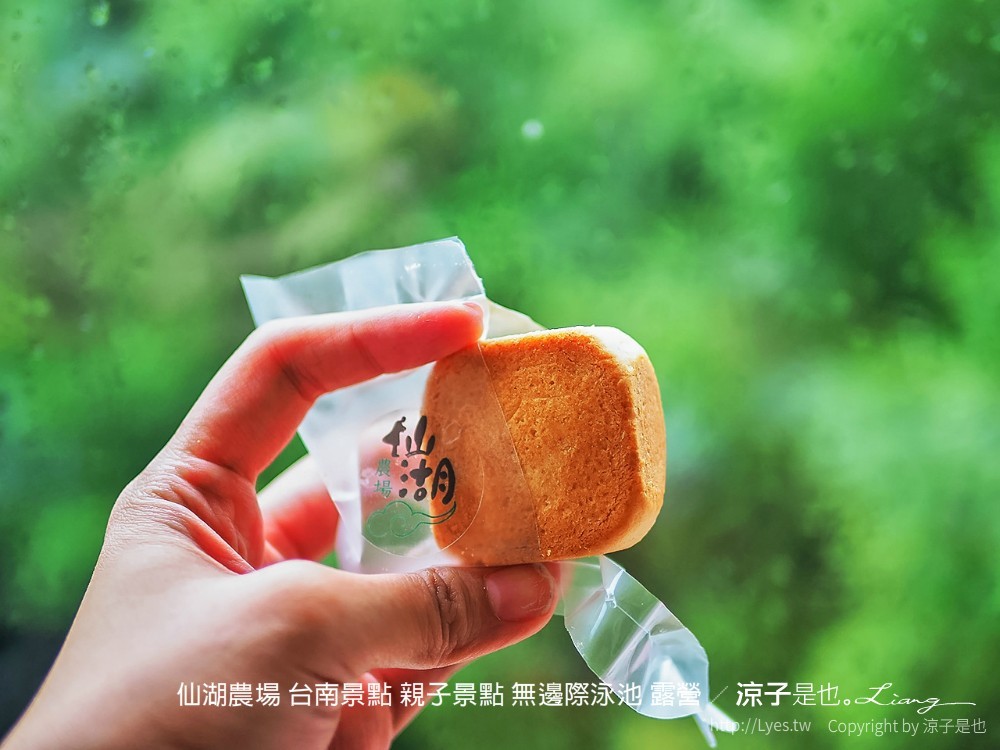 仙湖農場 台南景點 親子景點 無邊際泳池 露營