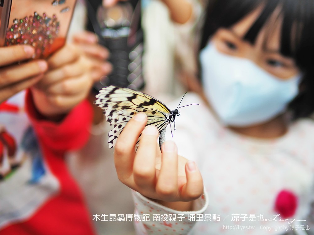 木生昆蟲博物館 南投親子 埔里景點