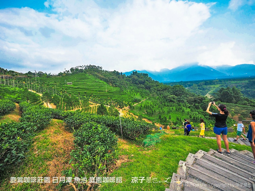 鹿篙咖啡莊園 日月潭 魚池 庭園咖啡館