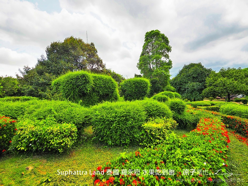 suphattra land 泰國 羅勇府 水果吃到飽