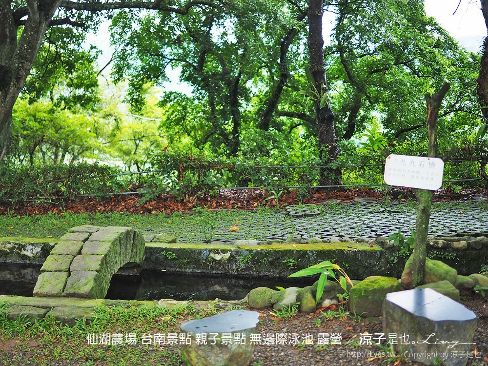 仙湖農場 台南景點 親子景點 無邊際泳池 露營