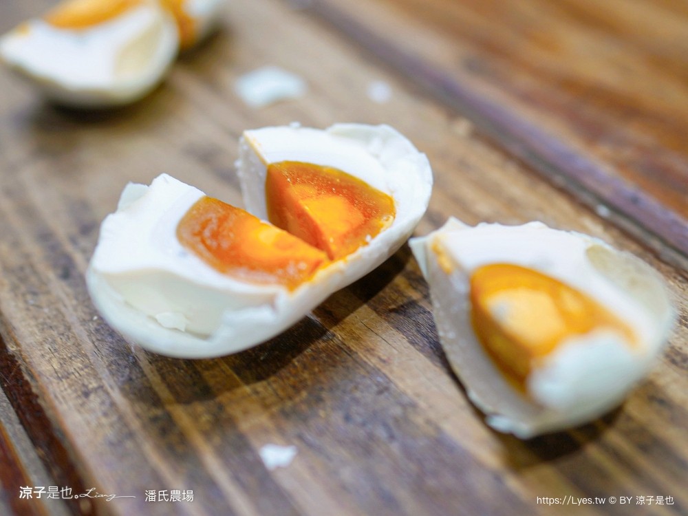 潘氏農場 屏東車城 親子景點 紅仁鴨蛋 鹹鴨蛋DFIY 屏東景點推薦 車城鹹鴨蛋老店推薦