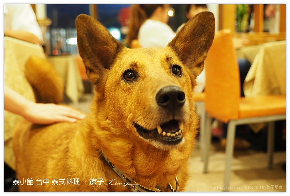 台中-泰小館 泰式料理 北區五常街CP值還不錯的家庭式泰國餐廳