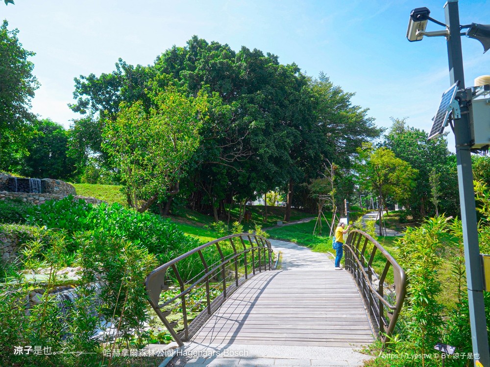 哈赫拿爾森林公園 台南景點 最新公園 森林秘境 開放時間 綠化 生態公園 交通 親子 hagenaars bosch