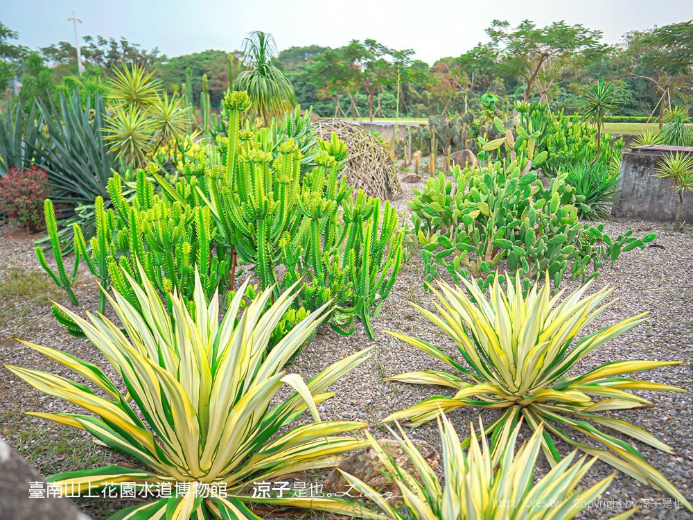 台南山上花園水道博物館 台南親子景點 門票 交通 戲水池 水道咖啡館 古堡