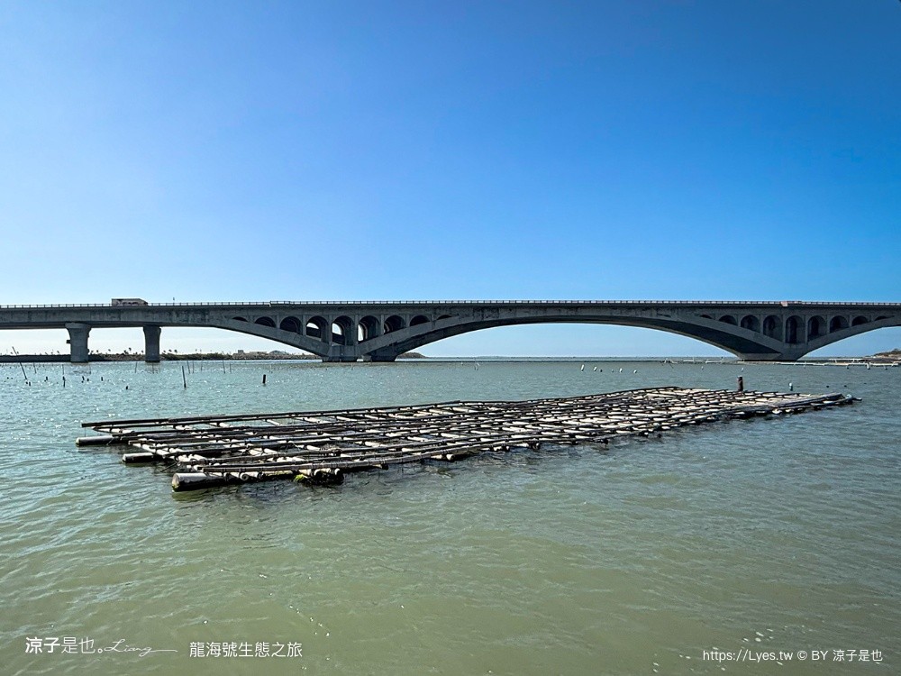 龍海號生態之旅 台南七股景點 台南景點 烤蚵吃到飽 親子景點 台南生態旅遊