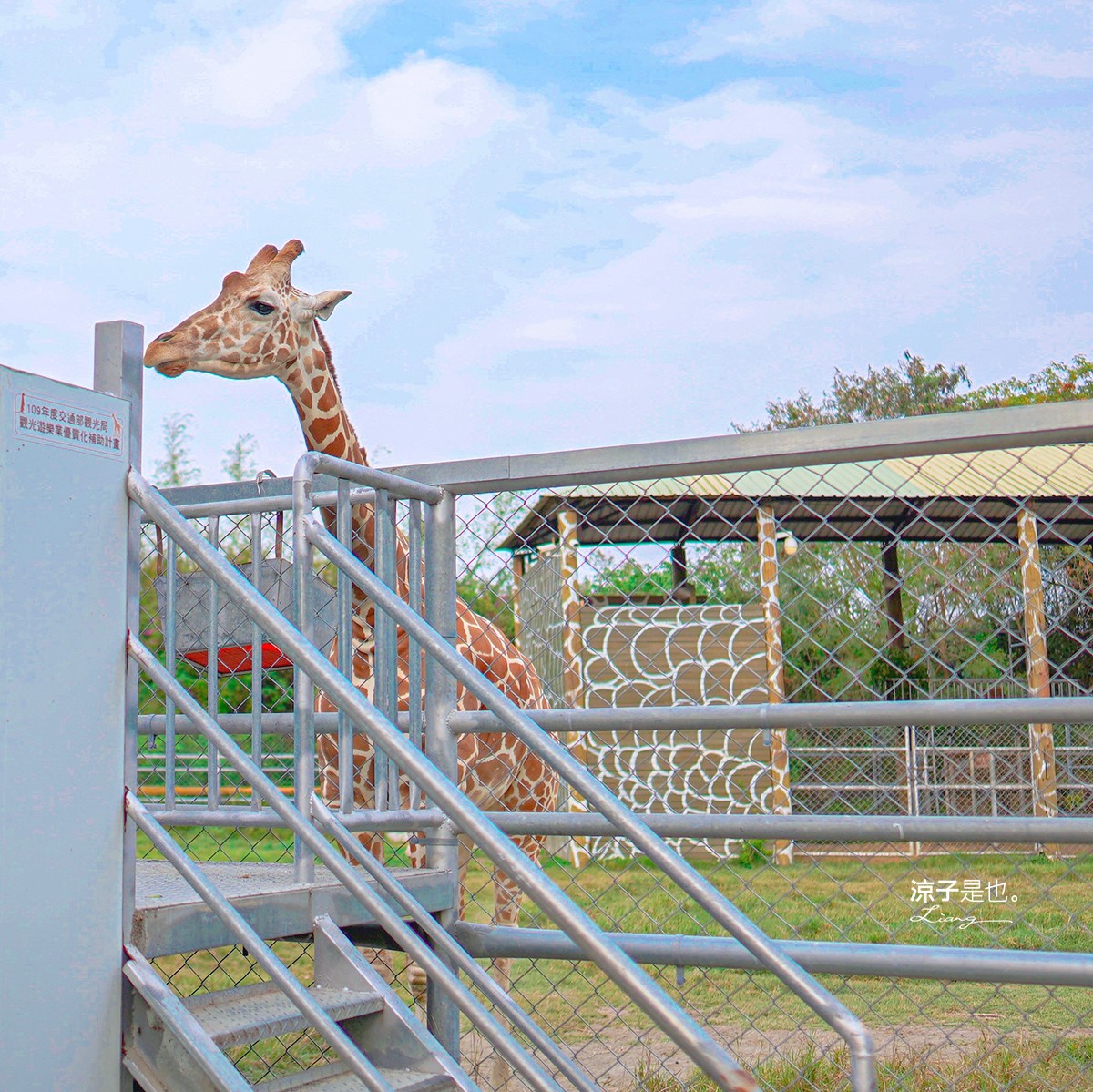 頑皮世界野生動物園攻略 門票優惠 台南親子景點 南台灣動物園 水豚君 長頸鹿 遊樂設施 戲水池