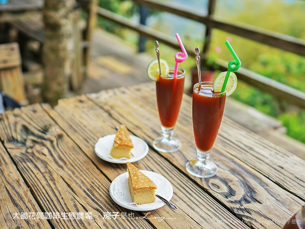 大鋤花間 咖啡生態農場 菜單 台南景點 台南東山175咖啡公路 咖啡館 景觀餐廳