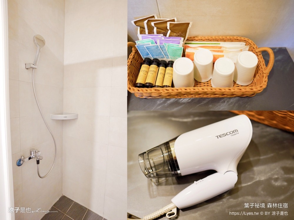 葉子祕境 南投埔里民宿 森林住宿 豪華懶人 netflix disney 日月潭