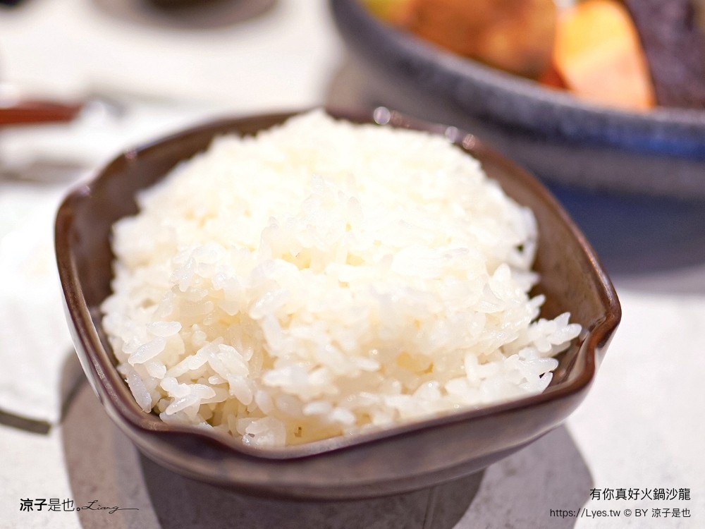 有你真好 火鍋沙龍 菜單 價位 台南美食 台南火鍋 個人鍋 餐廳 碳佐麻里 訂位