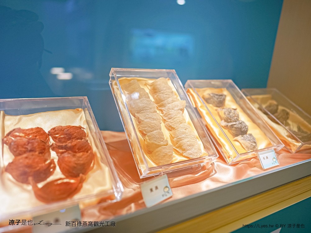 新百祿燕窩觀光工廠 免門票 台南景點 親子景點 燕窩DIY 台南伴手禮 互動體驗 新百祿燕窩評價