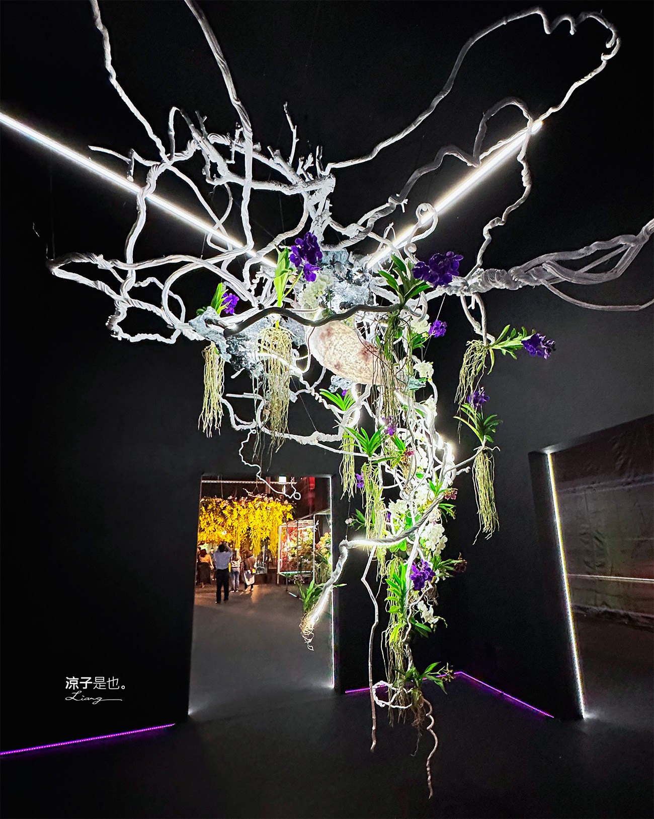 台灣國際蘭展 門票 2023時間 台南景點 魔境 恐龍 親子DIY 必看亮點 台南限定蘭花