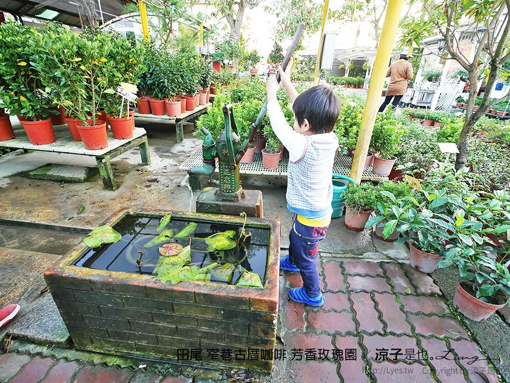 田尾 窄巷古厝咖啡 芳香玫瑰園