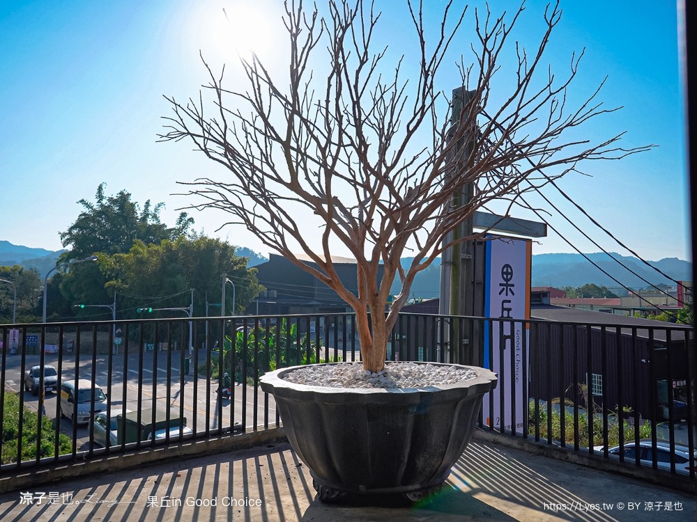 果丘in 埔里景點 南投伴手禮 親子景點 親子diy 菜單 埔里咖啡館 繡球花霜淇淋 果丘in白木耳吸凍飲專賣店 文青空間 good choice
