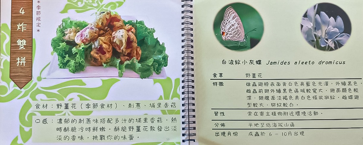 草本生活家 菜單 埔里美食 南投餐廳 預約制合菜餐廳 埔里桃米民宿 晚餐 南投住宿推薦