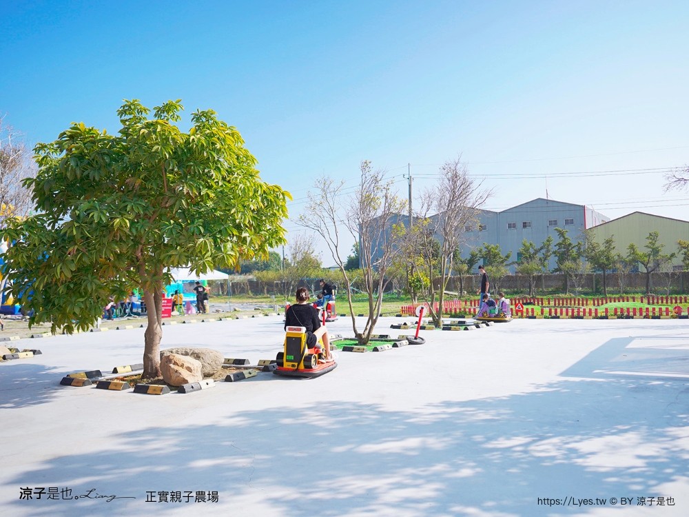 正實親子農場 門票 彰化 親子景點 撿雞蛋 氣墊樂園 溜滑梯 免費 餵小動物體驗 沙坑
