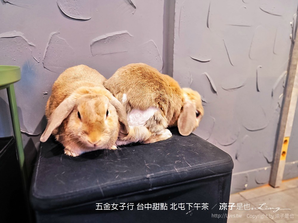 五金女子行 台中甜點 北屯下午茶