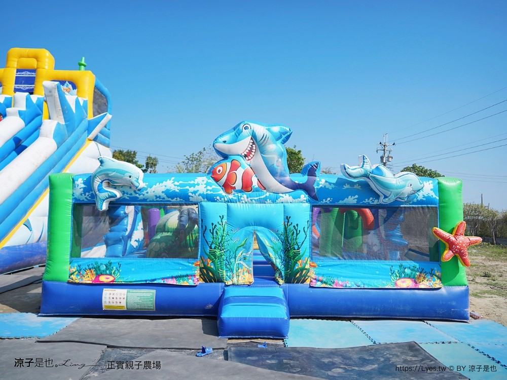 正實親子農場 門票 彰化 親子景點 撿雞蛋 氣墊樂園 溜滑梯 免費 餵小動物體驗 沙坑