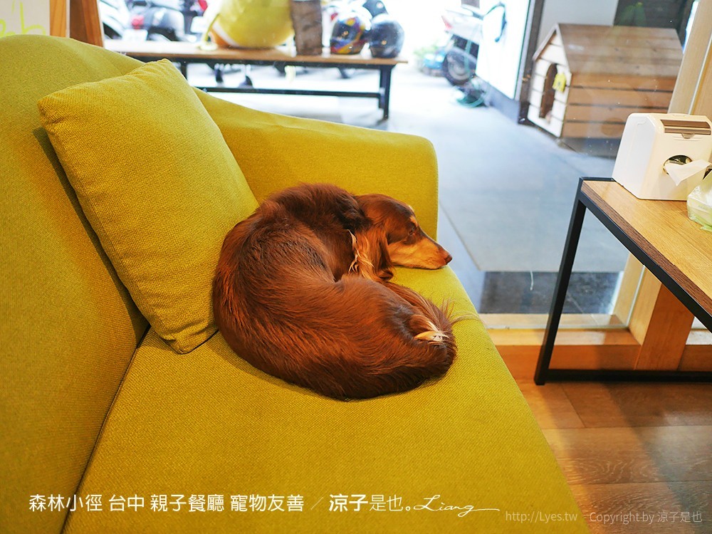 森林小徑 台中 親子餐廳 寵物友善