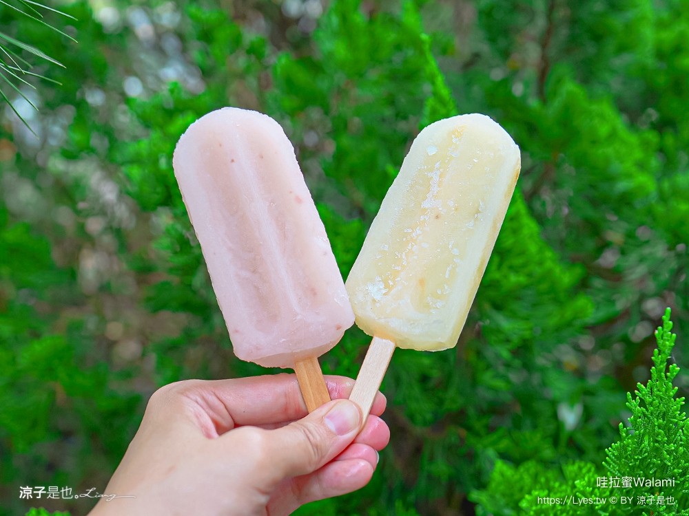 哇拉蜜冰店 菜單 南投景點 日月潭 手工法式冰淇淋 魚池冰品 庭園餐廳 便宜 古早冰棒 cp值