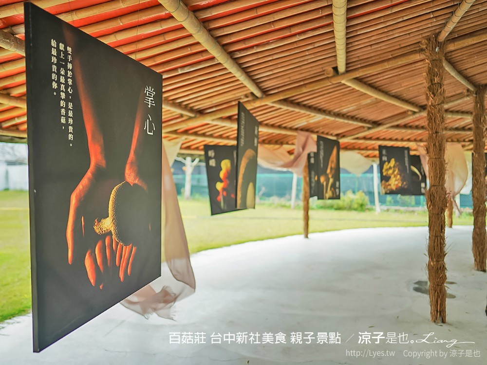 百菇莊 台中新社美食 親子景點