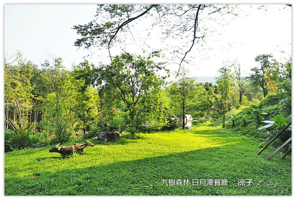 九樹森林 日月潭餐廳 - 涼子是也 blog