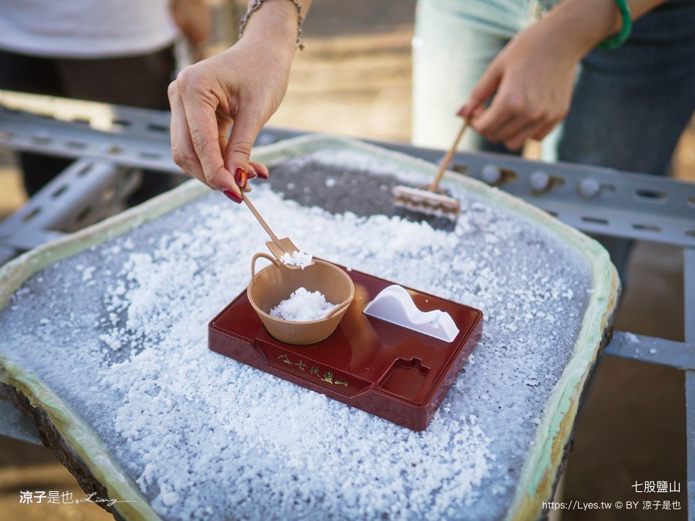 七股鹽山 台南景點 台南親子景點 七股一日遊 鹽罐DIY 寵物友善