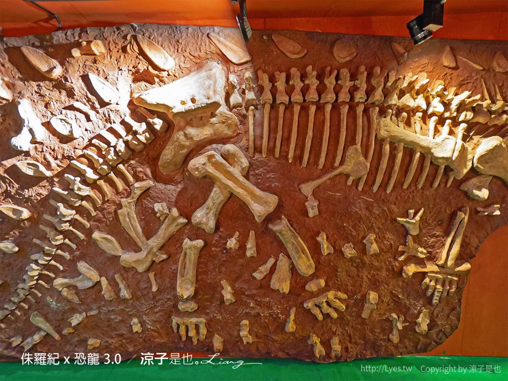 侏羅紀x恐龍3.0 台中恐龍展 展覽門票優惠 親子景點 侏羅紀特展活動 台中後火車站 救援恐龍
