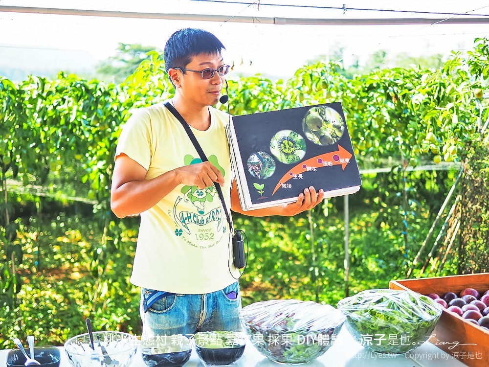 桃米生態村 親子景點 嘉寶果 採果 diy體驗