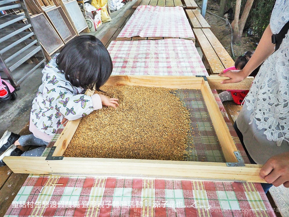 童話村生態渡假農場 宜蘭親子體驗活動