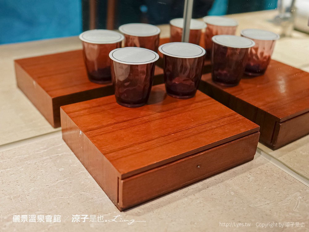 儷景溫泉會館 台南關子嶺溫泉飯店 泥漿溫泉住宿 尊榮館雙人房 戶外溫泉設施