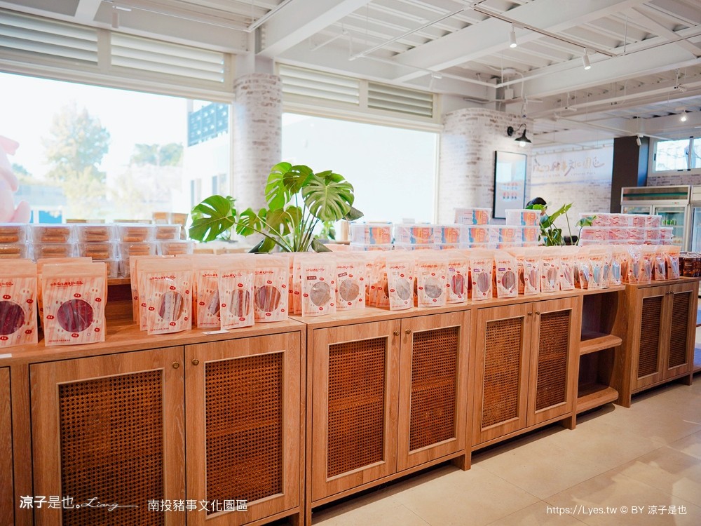 南投名間親子生態園區 南投親子公園 彩虹溜滑梯 盪鞦韆 免門票親子景點 野餐 天空步道 2022重新開幕