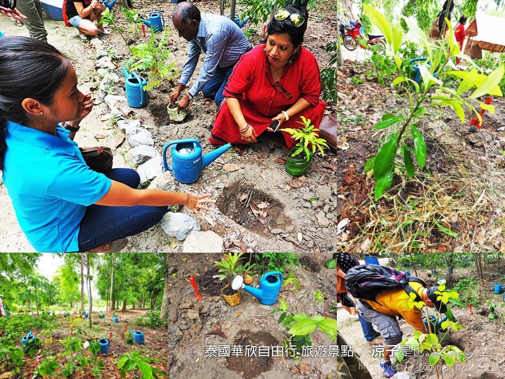 泰國華欣自由行 旅遊景點