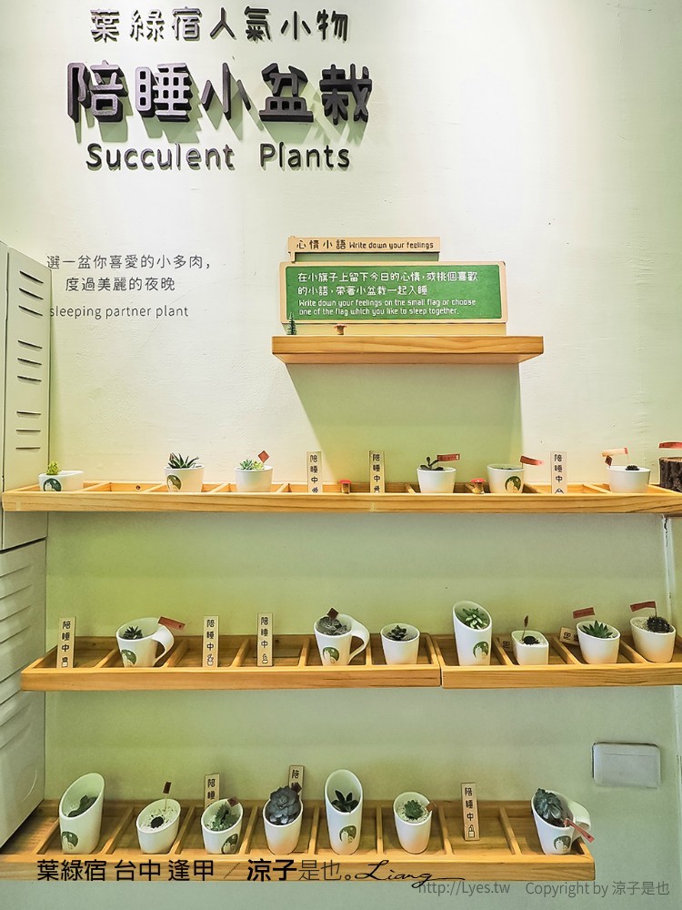 葉綠宿 台中 逢甲