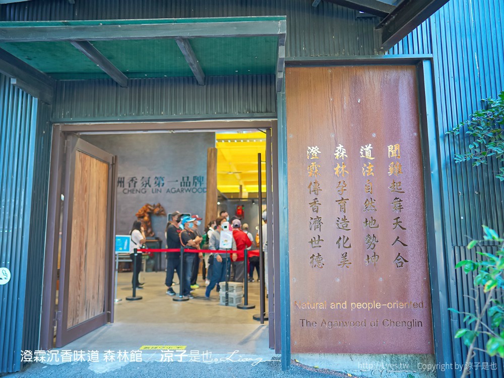澄霖沉香味道森林館 雲林景點 愛心落羽松 湖畔步道 水之教堂 台版兼六園