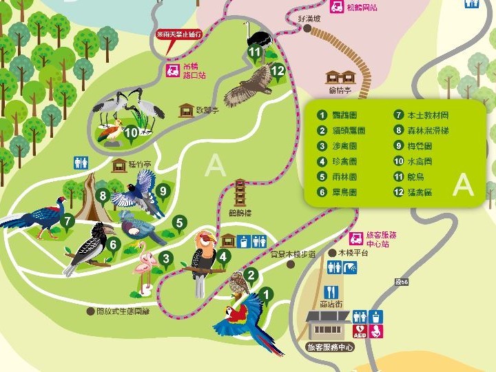 南投-鳳凰谷鳥園生態園區 推薦12大賞鳥主題區 x 森林溜滑梯 x 紙飛鳥DIY x 金剛鸚鵡互動 南投親子景點 來森林步道走走吧！