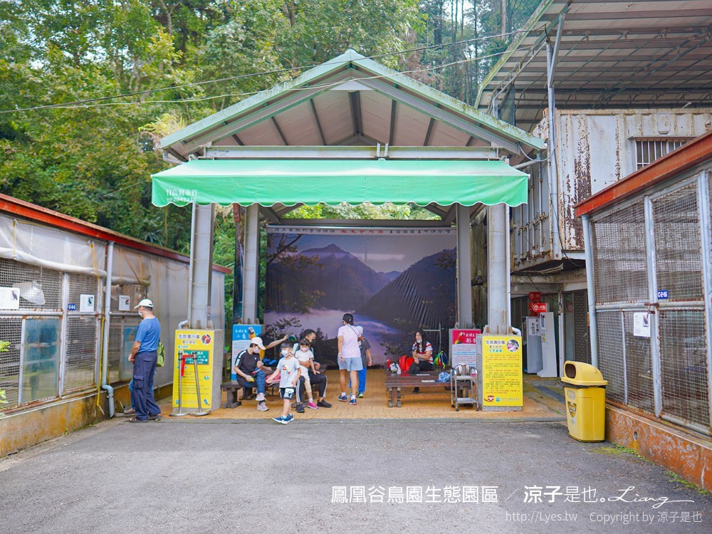 鳳凰谷鳥園生態園區 南投 親子景點 森林溜滑梯 賞鳥 DIY 鹿谷 步道 吊橋 瀑布