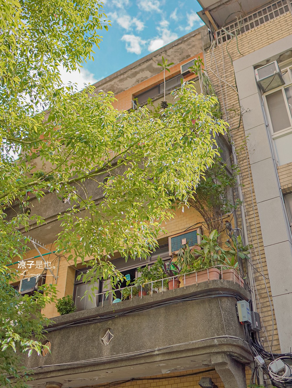 台北景點-島內散步x晶華酒店 深度導覽在地故事 漫步城市 探索書店咖啡館的文藝之旅