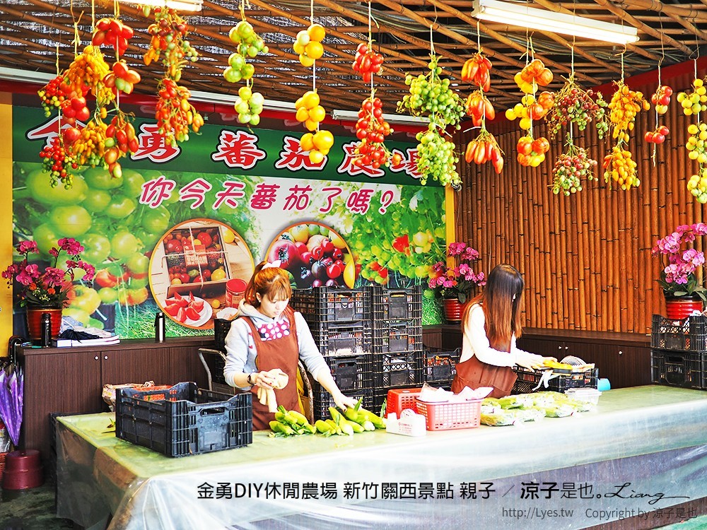 金勇DIY休閒農場 新竹關西景點 親子