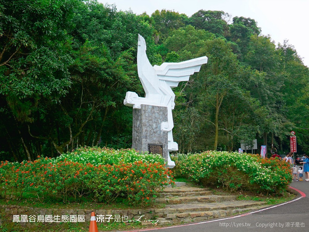 鳳凰谷鳥園生態園區 南投 親子景點 森林溜滑梯 賞鳥 DIY 鹿谷 步道 吊橋 瀑布