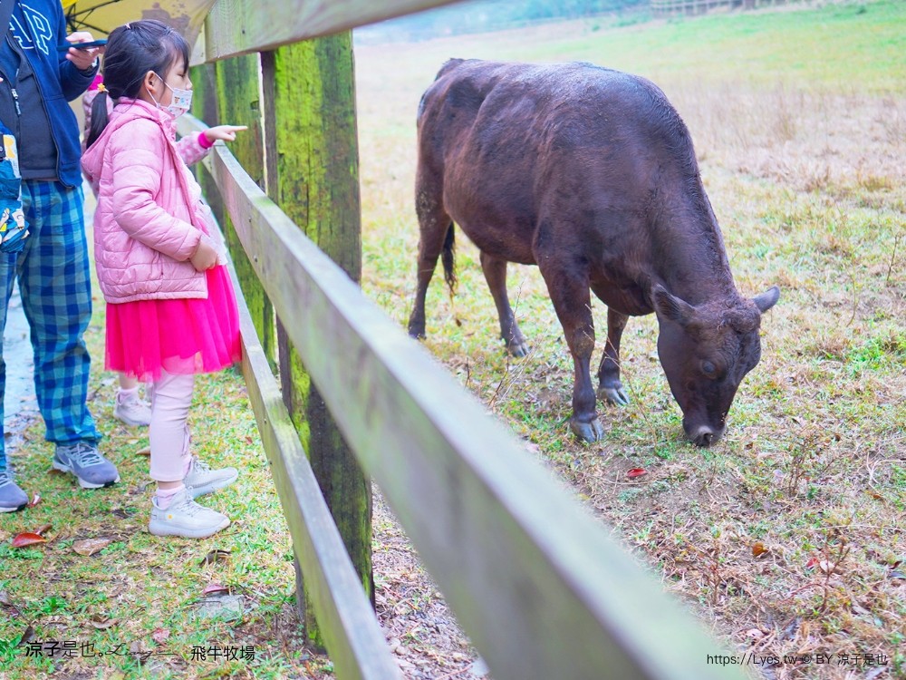 苗栗 飛牛牧場住宿 房型 早餐 四人房 2天1夜 園區門票 票價 苗栗親子飯店推薦