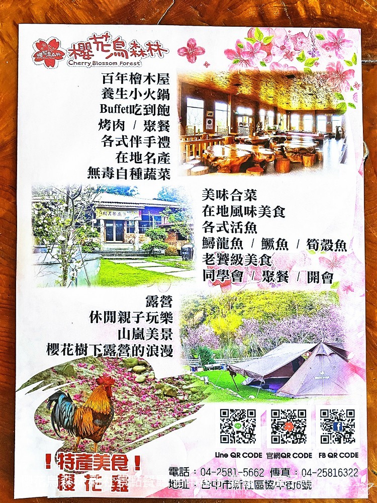 新社景點-櫻花鳥森林 迷你小火車x溜滑梯戲水區x鸚鵡放飛秀x露營 不止花好拍 親子旅遊也好玩！