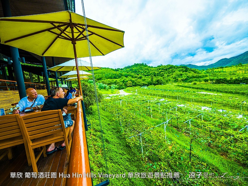 華欣 葡萄酒莊園 Hua Hin Hills Vineyard 華欣旅遊景點推薦