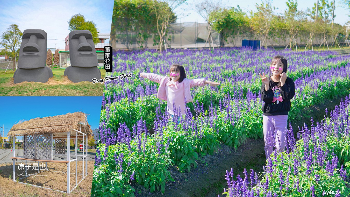 董家花田 菜單 門票 景點 彰化景點 田尾景觀餐廳 花海 戶外野餐 咖啡 交通